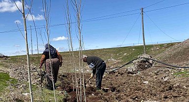 Ağrı'da vatandaşlar imece usulü fidan dikerek geleceğe nefes oluyor