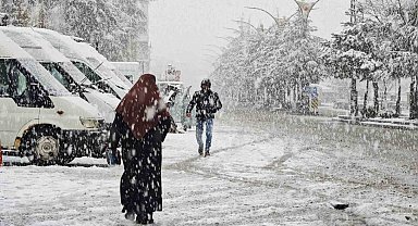 Ahlat'ta nisan karı etkili oldu