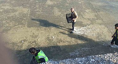 Akıntıya kapılan balıkları yakalamak için birbirleriyle yarıştılar