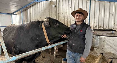 Aksiliklerinden kantara çıkamıyorlar: 4 yaşındaki dev tosunları gören bir daha bakıyor