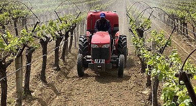 Alaşehir'de "3K Bağcılık" ile kalıntısız üretim başladı