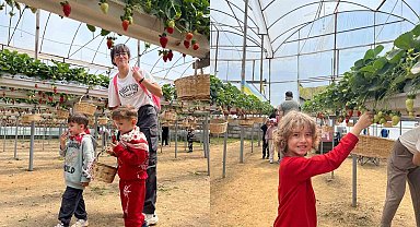 ALKÜ'lü minikler fidan dikip çilek topladı