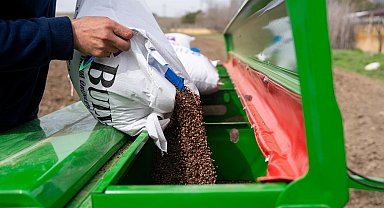 Ankara'da 2026 karabuğday ekim çalışmaları başladı