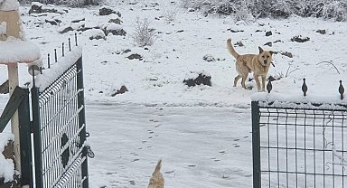 Ankara'ya nisan ayında kar yağdı