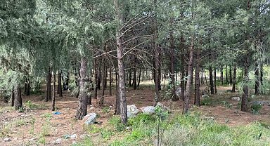 Anne ve oğlunu öldüren katil akrabaların çaldıkları altınları kuyumcuya sattıkları ortaya çıktı