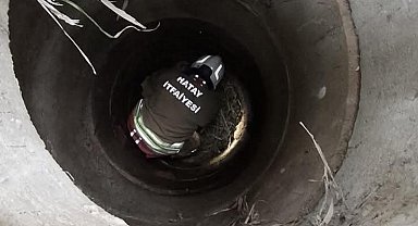 Antakya'da kuyuya düşen köpeği itfaiye kurtardı