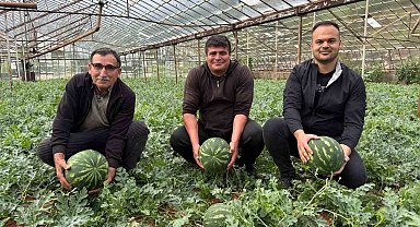 Antalya'da kış karpuzu hasadı için geri sayım başladı