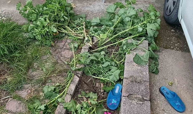 Antalya'da küçük çocuk ikinci kattan düştü, olayı kırıklarla atlattı