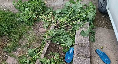 Antalya'da küçük çocuk ikinci kattan düştü, olayı kırıklarla atlattı