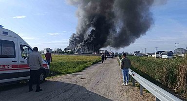 Antalya'da patates üretim tesisinde yangın