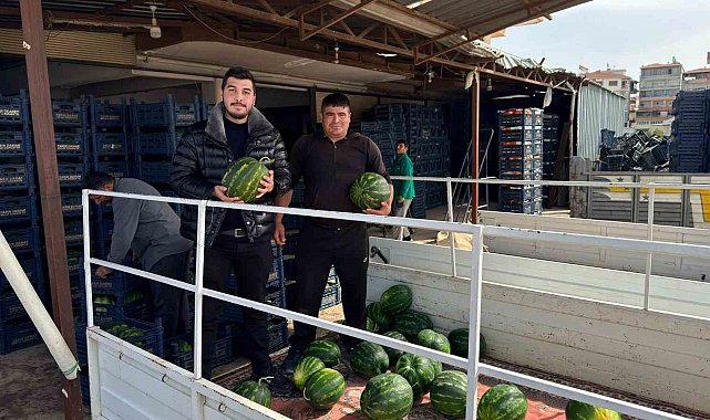 Antalya'da sezonun ilk karpuz hasadı yapıldı