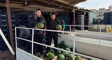 Antalya'da sezonun ilk karpuz hasadı yapıldı