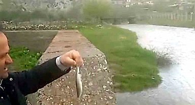 Araban'da Ardıl Çayı yıllar sonra yeniden aktı