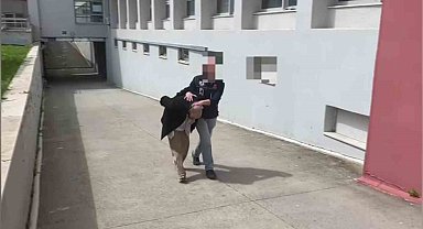 Aracında 825 kilo bonzai yapılacak ham madde yakalattı: "Bana ait değil"