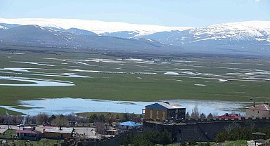 Ardahan'da Kura Nehri'nin debisi yükseldi