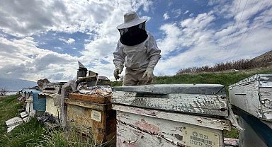 Arıcılar yavru ve besleme dönemine girdi