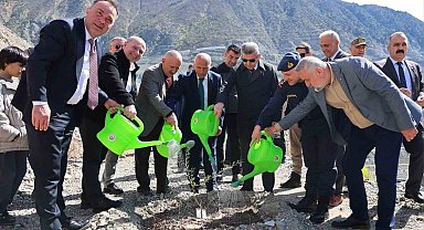 Artvin'de 450 Butko zeytini fidanı toprakla buluşturuldu