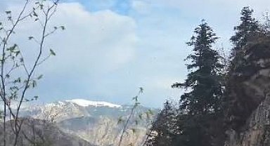 Artvin'de yaylada düşerek yaralanan vatandaş helikopterle kurtarıldı