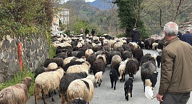 Artvin'de zorlu yayla göçü başladı