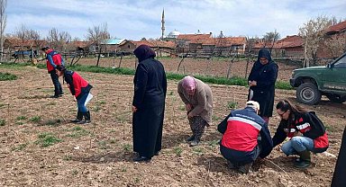 Aslanapa'da çiftçilere yönelik eğitim ve saha çalışmaları gerçekleştirildi