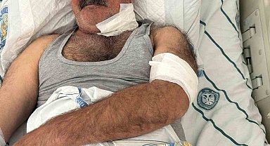 At sahibini boğazından ısırarak ağır yaraladı