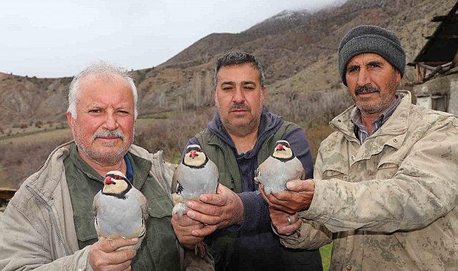 Atadan toruna kalan miras: "Baskın keklik" yöntemiyle dev envanter