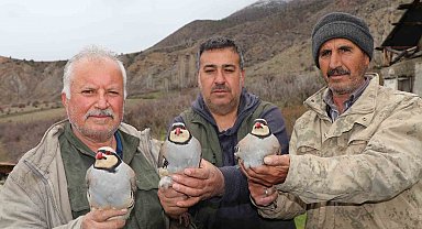 Atadan toruna kalan miras: "Baskın keklik" yöntemiyle dev envanter