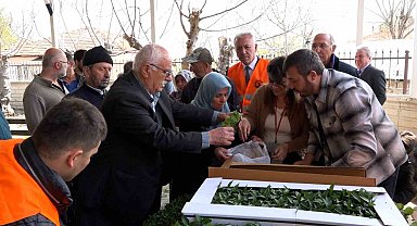 Atakumlu çiftçiye 100 bin sebze fidesi