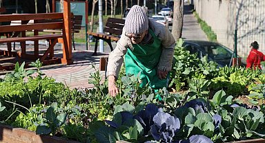Ataşehir Kent Bostanları'nda yeni dönem heyecanı başlıyor