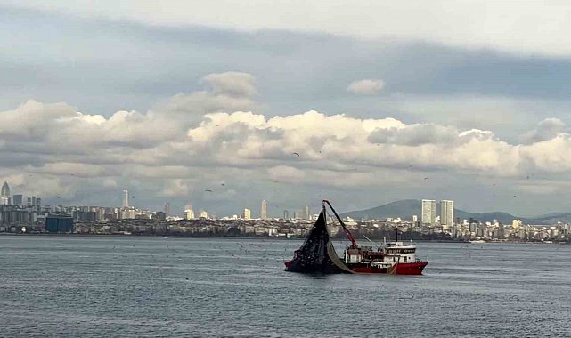 Av mevsiminin son günlerinde istavrit bolluğu