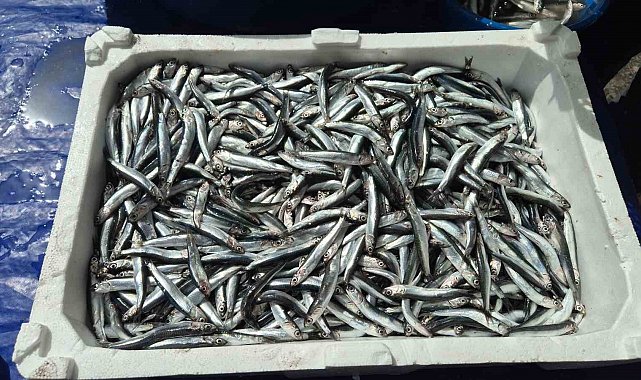 Av yasağı öncesi pazarda yoğunluk