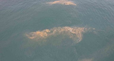 Avcılar kıyılarında tedirgin eden görüntü