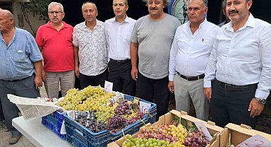 Avşar Üzümü coğrafi işaretle tescillendi