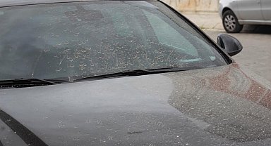 Aydın'da toz taşınımı bekleniyor