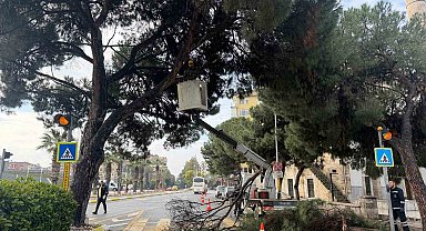 Aydın'ın en işlek noktasına estetik dokunuş