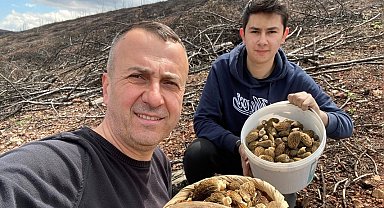 Baba ve oğlunun yüzünü güldüren mantar avı