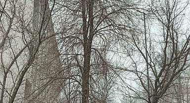 Bahar gelmeden kış geri döndü; Diyadin'e kar sürprizi