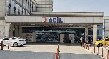 Baharla birlikte gelen kabus