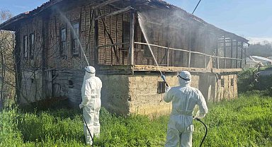 Bartın'da kahverengi kokarca kış uykusunda yok edilecek