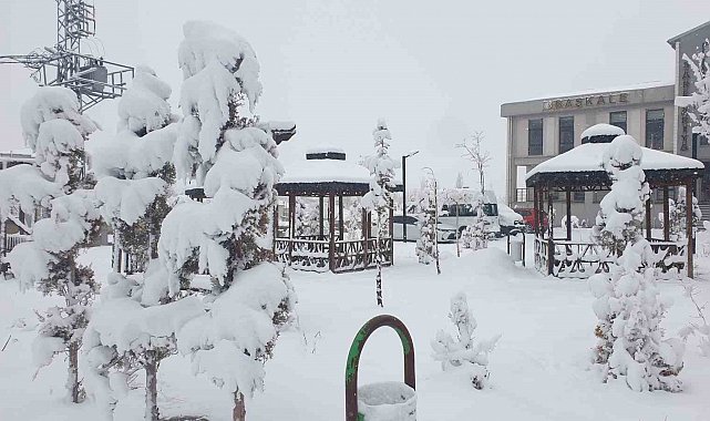 Başkale'de kar yağışı