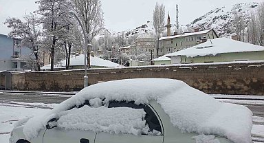 Başkale'de nisan ayında kar yağışı