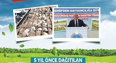 Başkan Büyükkılıç'tan kırsala, kendi kendini büyüten model: 150 bin küçükbaş artışı