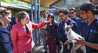 Başkan Vekili Büşra Özdemir: "Veteriner hekimlerin üstlendikleri sorumluluk çok kıymetli"