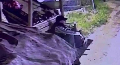 Başkasına ait beğendiği ayakkabıyı çalarken kameralara yakalanan suç makinesi tutuklandı