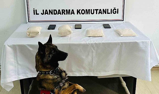 Batman'da 3 kilo kannabinoit ele geçirildi