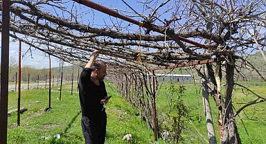 Batman'da ani hava değişimleri meyve bahçelerini vurdu