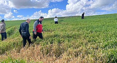 Batman'da çiftçilere 'yanlış ilaçlama' uyarısı