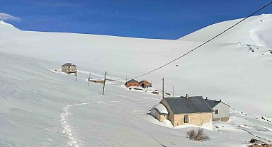 Bayburt'ta ayı saldırılarının yaşandığı yaylada ulaşım sorunu sürüyor