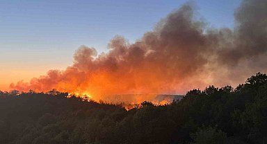Beykoz'da 3 hektarlık alan küle döndü: Yangına müdahale devam ediyor