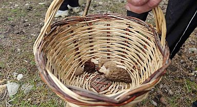 Beyşehir'de doğa tutkunları hem yürüyüş hem de kuzugöbeği için buluştu